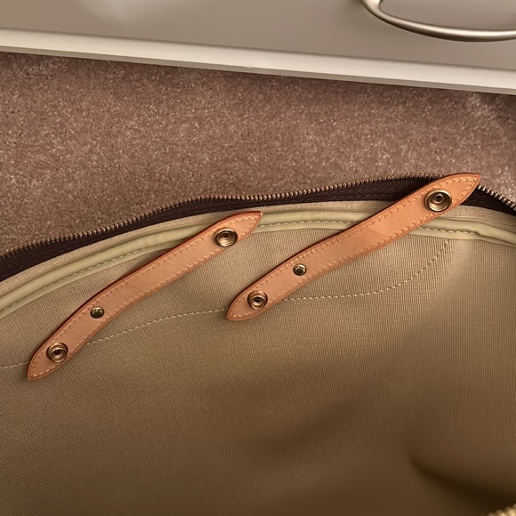 Louis Vuitton Monogram Alize de Poche Garment Bag 💕💕 - Picture 13 of 16